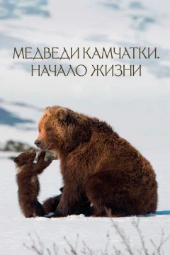Смотреть фильм Медведи Камчатки. Начало жизни (2018) онлайн
