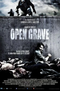 Смотреть фильм Открытая могила (2013) онлайн