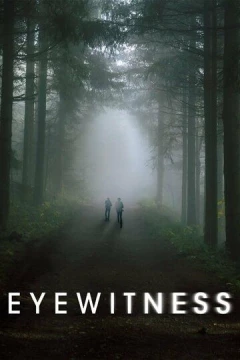 Смотреть сериал Свидетели (2016) онлайн