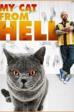 Смотреть сериал Адская кошка (2011) онлайн