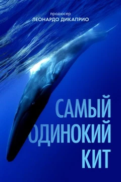 Смотреть фильм Самый одинокий кит (2021) онлайн