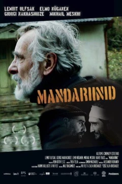 Смотреть фильм Мандарины (2013) онлайн