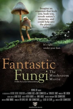 Смотреть фильм Фантастические грибы (2019) онлайн