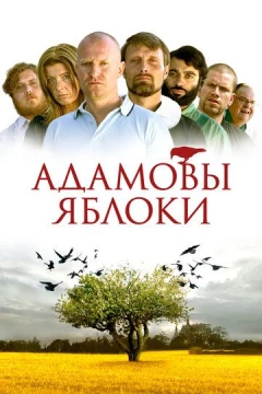 Смотреть фильм Адамовы яблоки (2005) онлайн