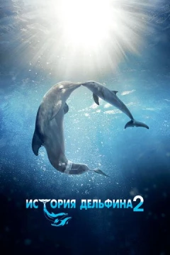 Смотреть фильм История дельфина 2 (2014) онлайн