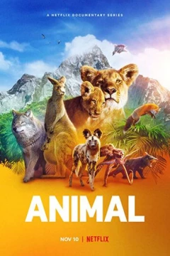 Смотреть сериал Удивительные животные (2021) онлайн