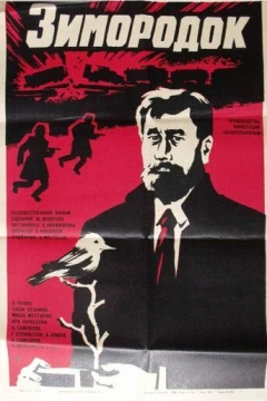 Смотреть фильм Зимородок (1972) онлайн