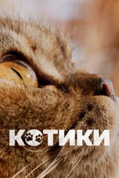 Смотреть фильм Котики (2022) онлайн
